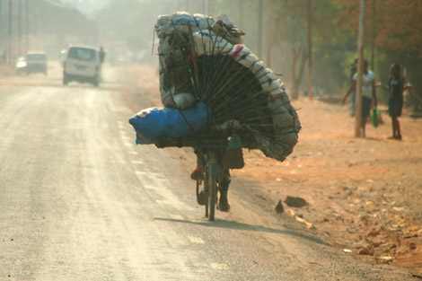 Auf einem Fahrrad balanciert ein Kongolese säckeweise Holzkohle (Foto: Miriam Mannak/IPS)