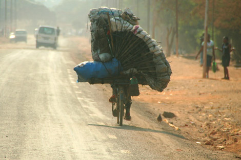 ips_mmannak_charcoalcongo Auf einem Fahrrad balanciert ein Kongolese säckeweise Holzkohle (Foto: Miriam Mannak/IPS)
