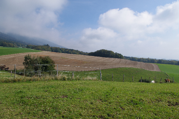 jura3
