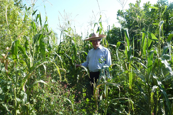 milpa