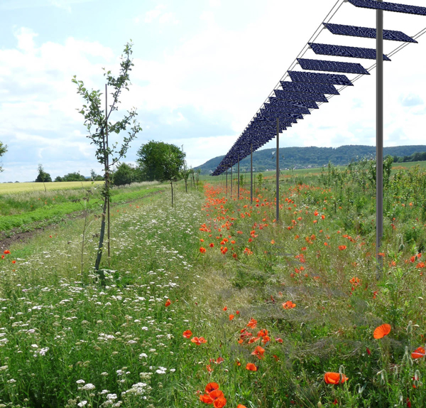 solarwing-mais
