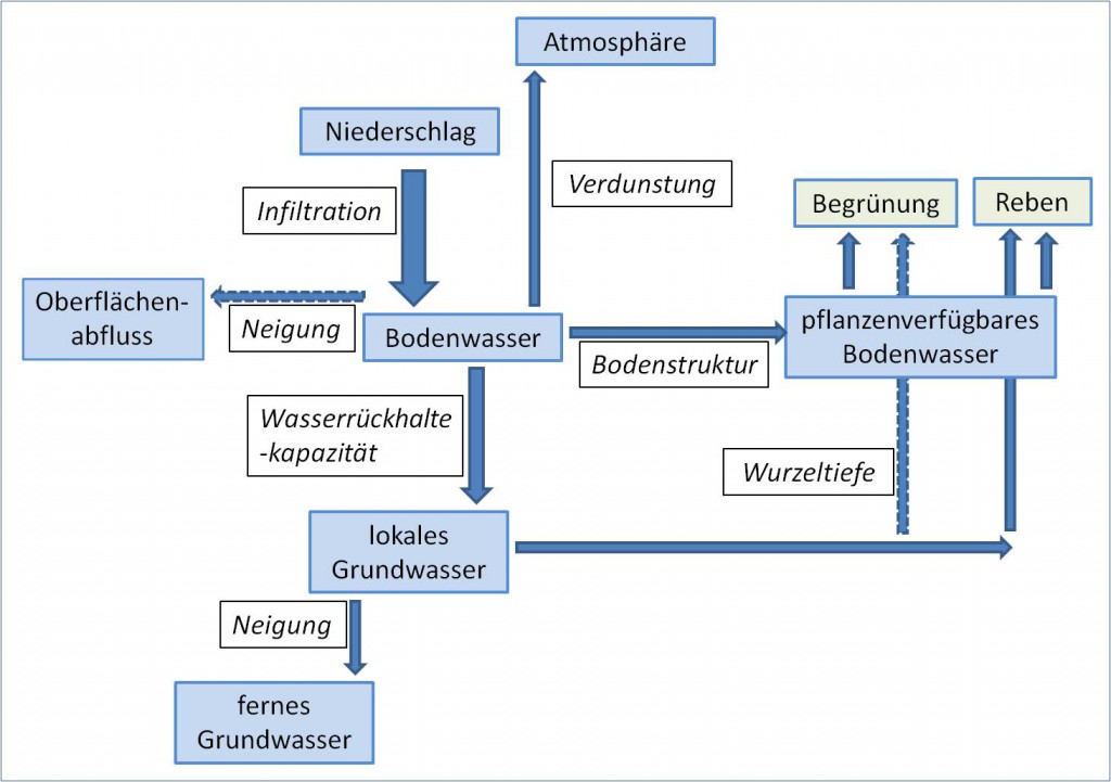 Wasserhaushalt Boden