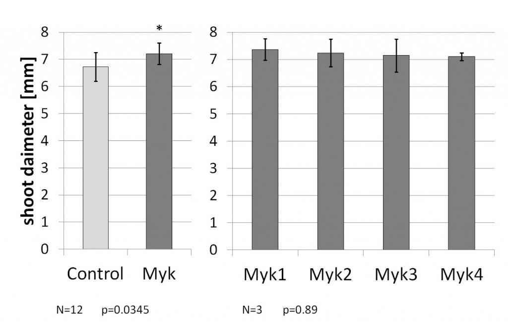 Mykorrhiza Altreben Wuchskraft 2012