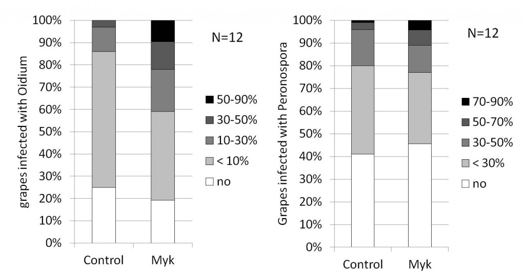 Mykorrhiza-Phytopatholgie-Altreben-2011