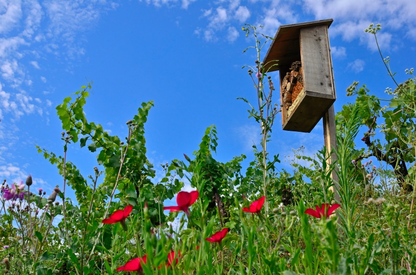 bienenhotel