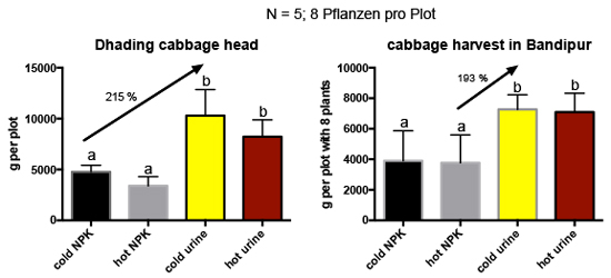 cabbage_yield_biochar