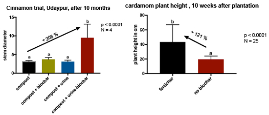 cardamom_cinnamon