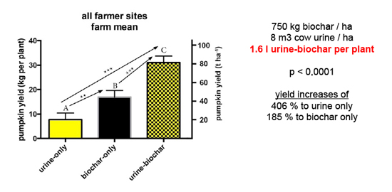 pumpkin_biochar