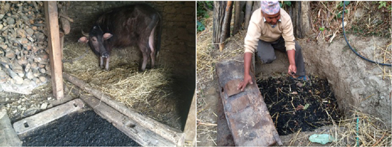 urine-biochar-pit