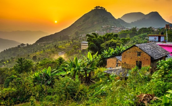 A01-Bandipur