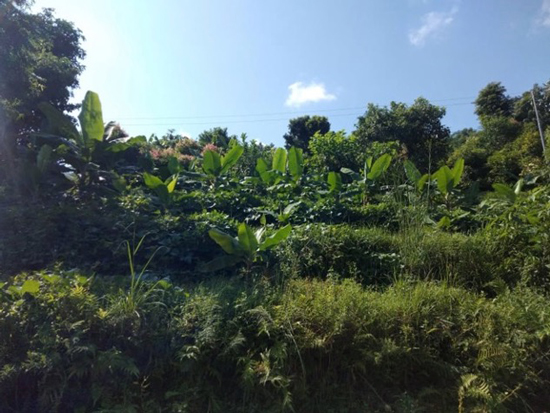 bananen-zimt_2