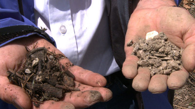 Climate farmer Hans-Peter Schmidt shows the difference in climate-farmed soil (left) from his vineyard and traditional vineyard soil (right) from his neighbour’s plot. June 20, 2009. (WRS/Amy Wong)
