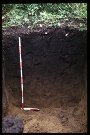 Anthrosol Anthrosol