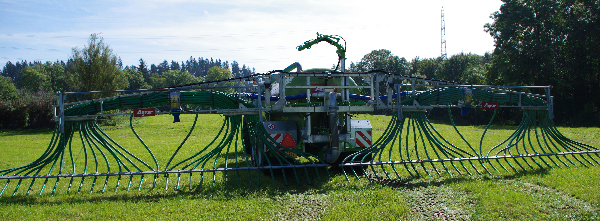 guelle2