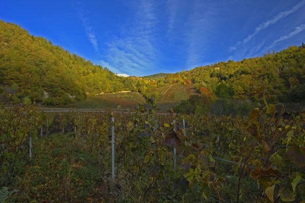 mythopia-herbst