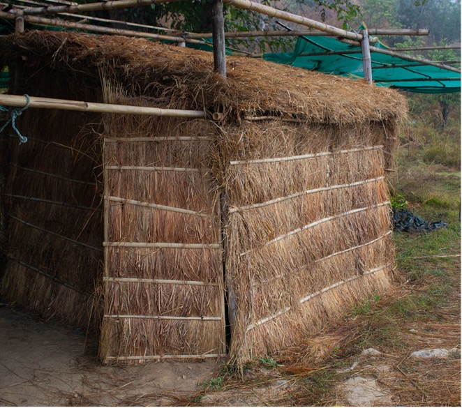 Abbildung 1: Das erste Pilzhaus aus Bambus und Heu in Ratanpur.